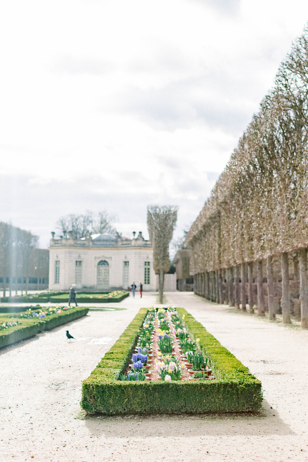 Versailles-184.jpg